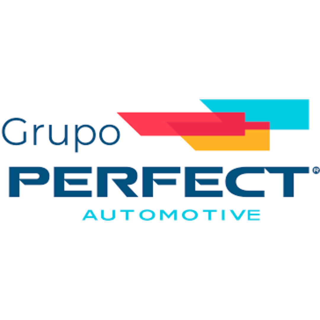 Grupo Perfect Automotive